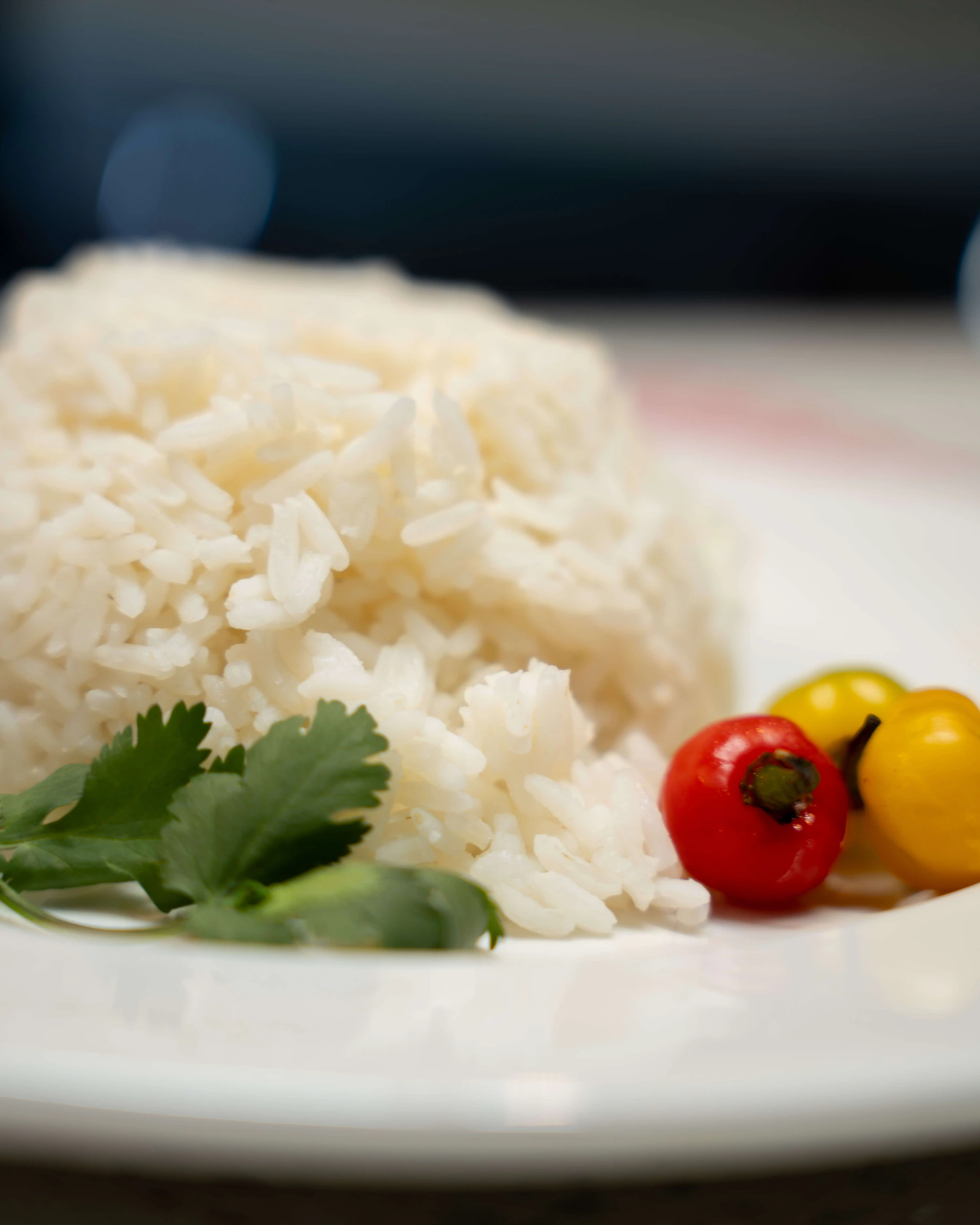 Tropical Oasis dish