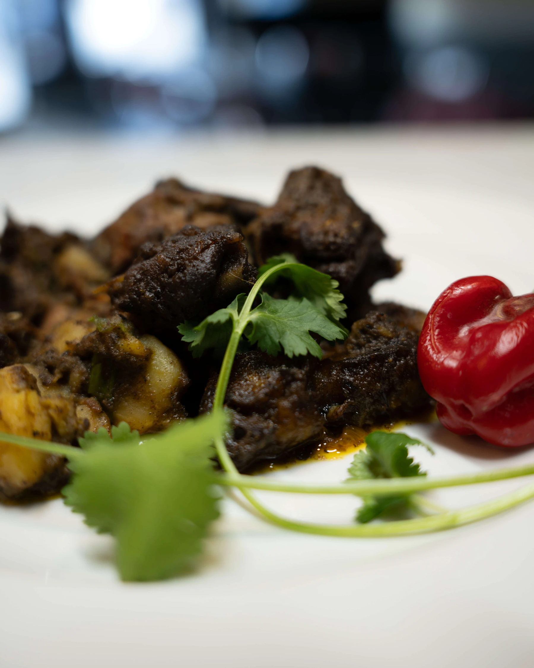 Tropical Oasis dish